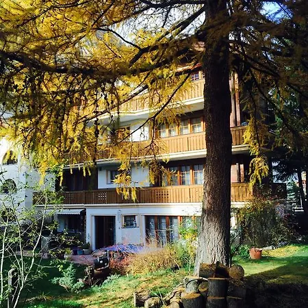 Haus Ares Daire Zermatt